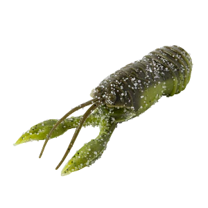 Great Lakes Finesse 2.5" Juvy Craw (7 pk) - Image 10