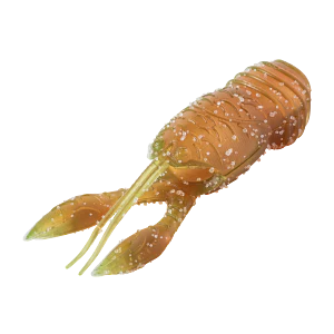 Great Lakes Finesse 2.5" Juvy Craw (7 pk) - Image 9