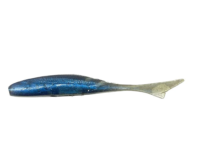 Owner Juster Fish - Image 4