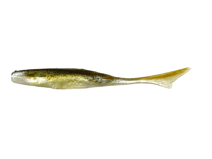 Owner Juster Fish - Image 5