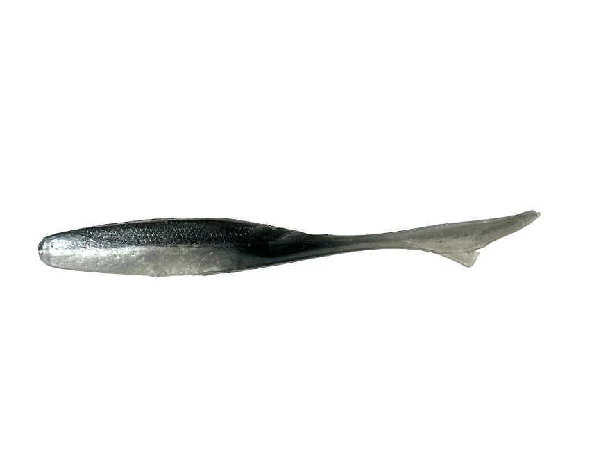 Owner Juster Fish - Image 7