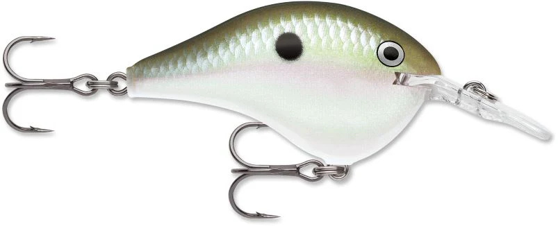 Rapala DT 20 Series Crankbait - Image 9