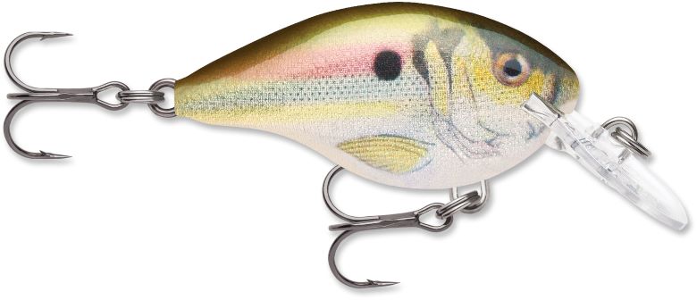 Rapala DT 4 Series Crankbaits - Image 41