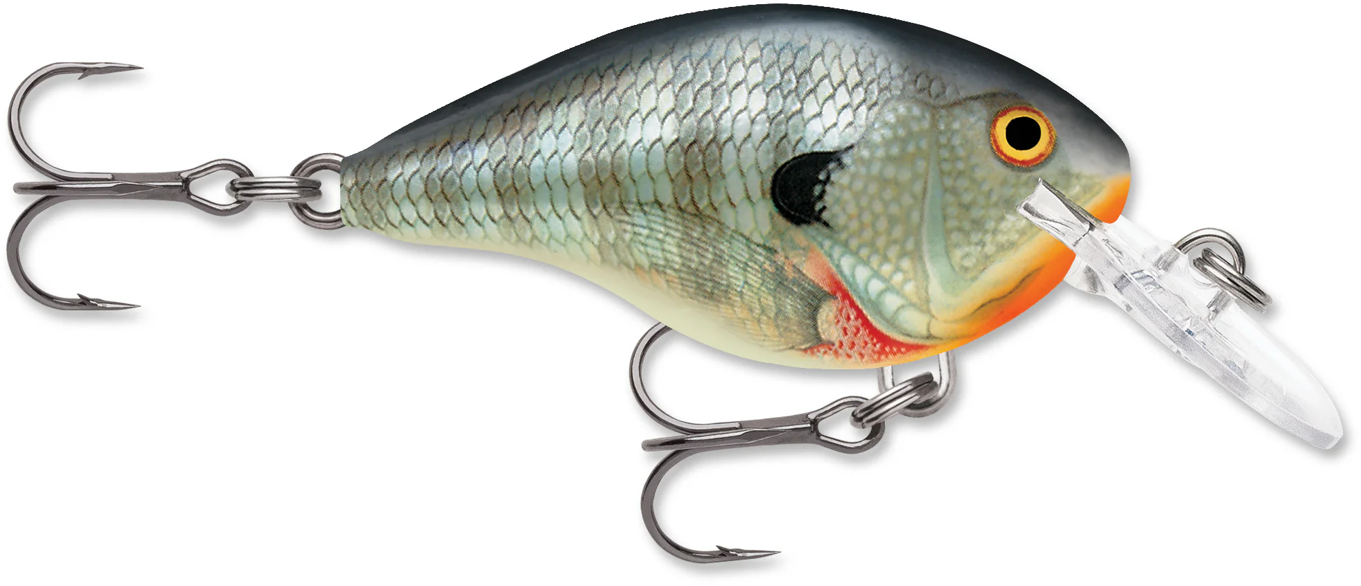 Rapala DT 4 Series Crankbaits - Image 46