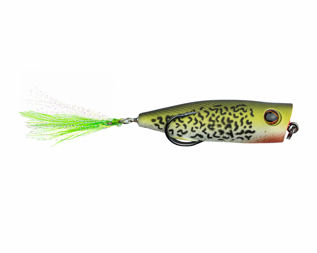 Snag Proof Frogs Zoo Pop 3/8 oz. Popper - Image 5