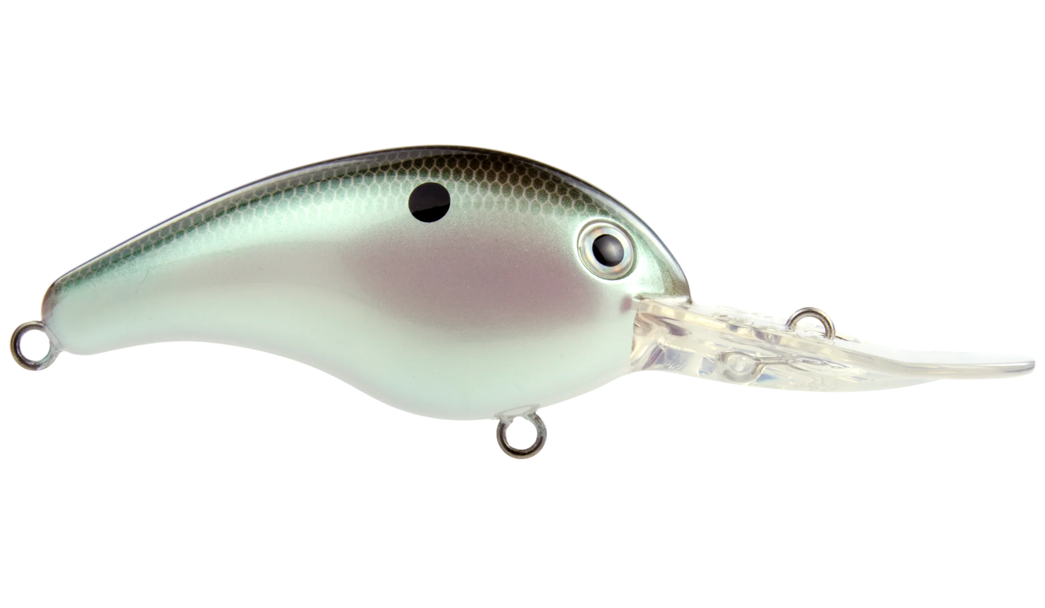 Strike King Pro Model 6XD Crankbait - Image 6